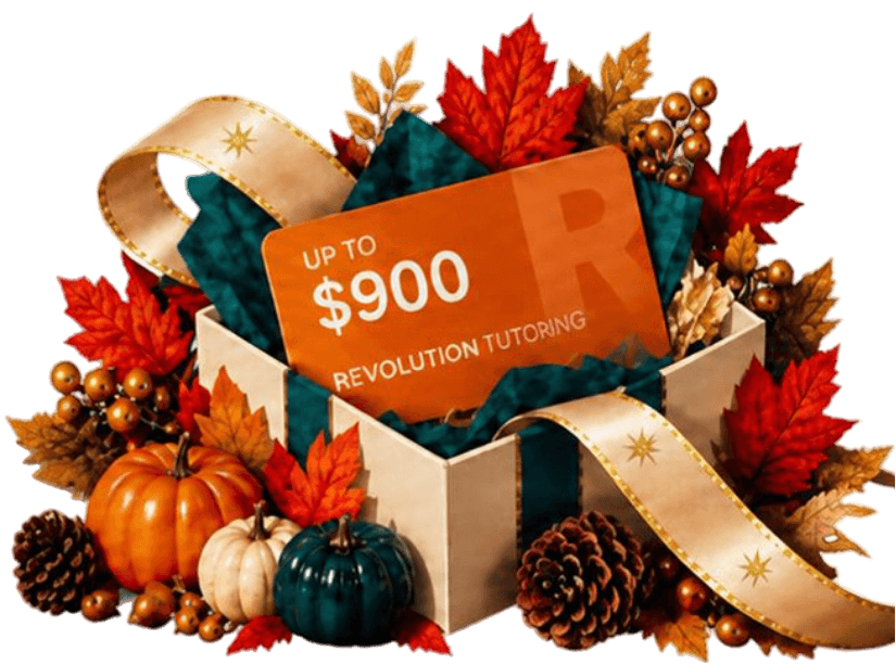 Holiday Gift Banner Illustration